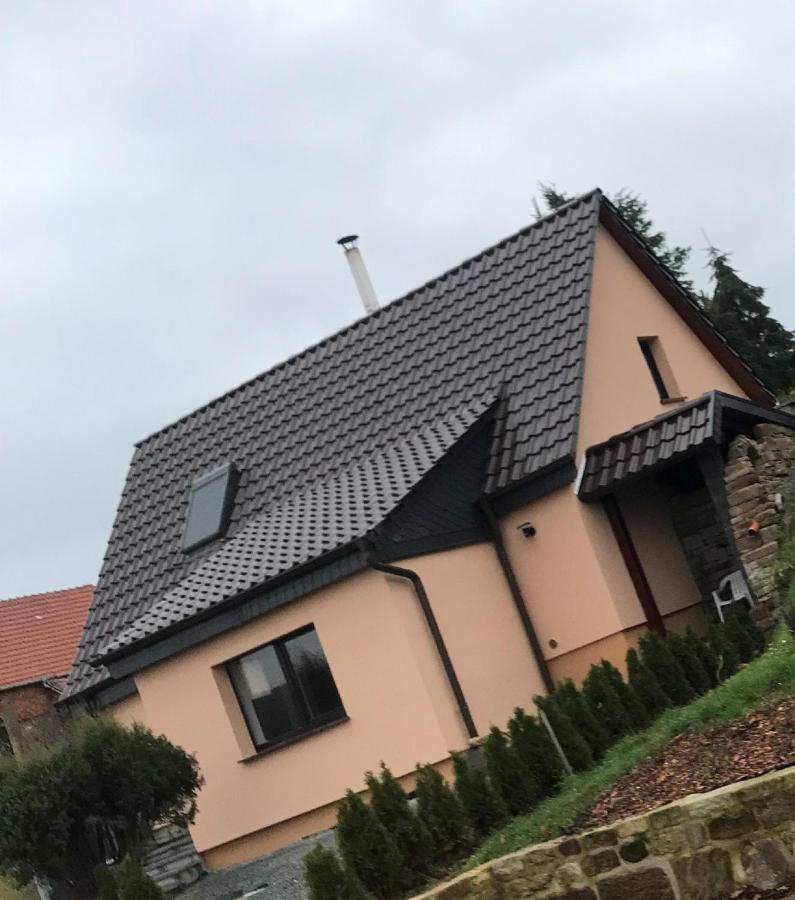 Ferienhaus Unstrutblick Kaiserpfalz Dış mekan fotoğraf
